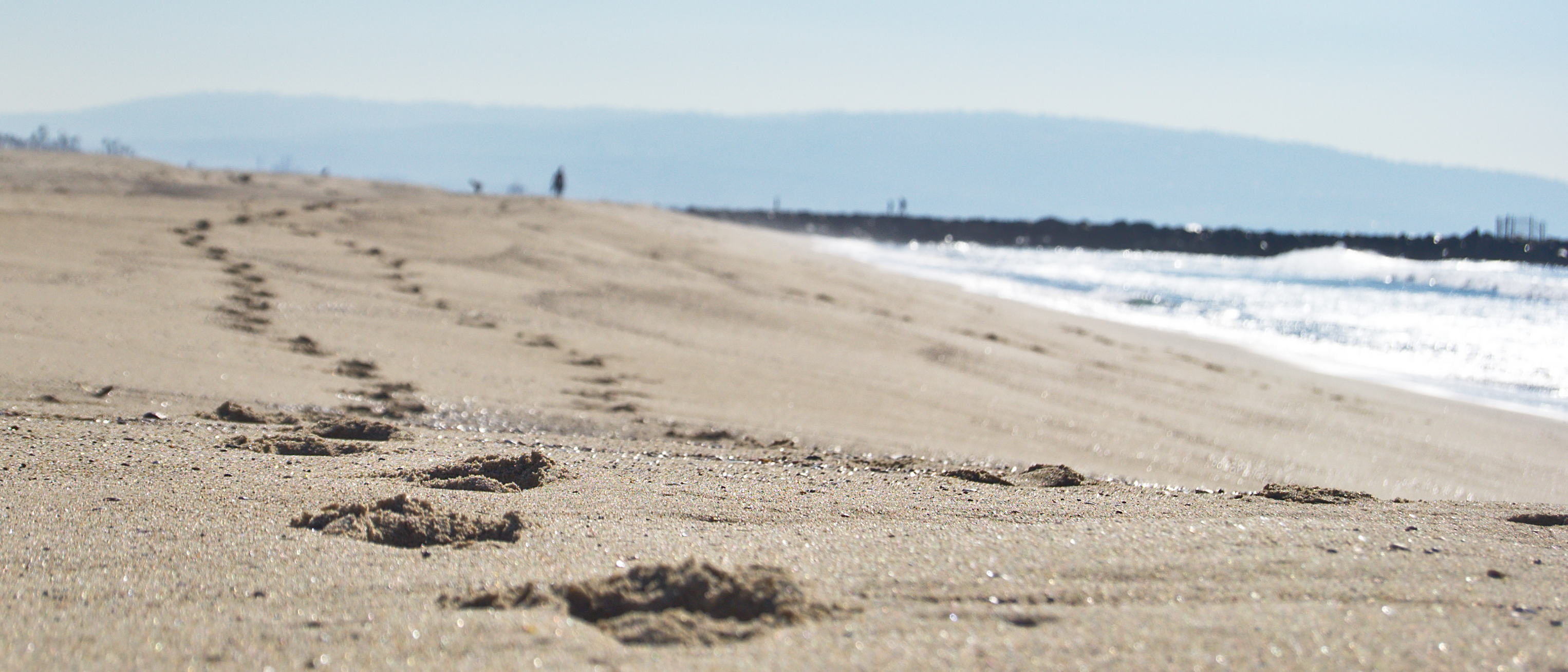 Cover Photo